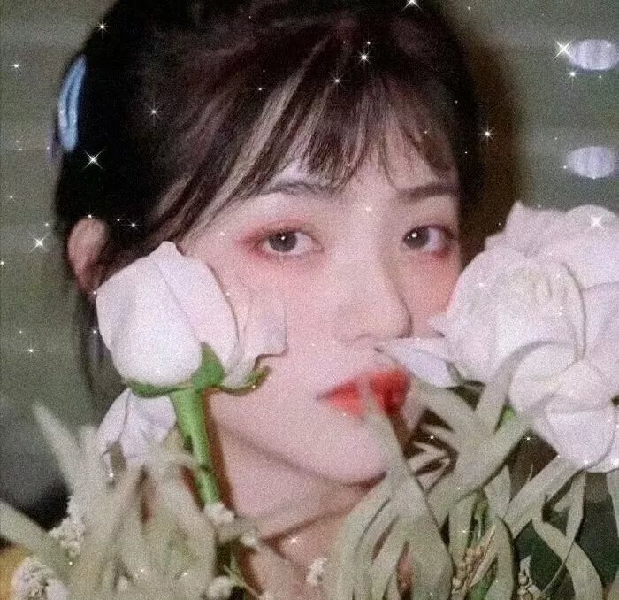 夏小姐的先婚后爱